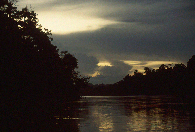 815_Tropische avondlucht boven de Kinabantangan, Sabah.jpg